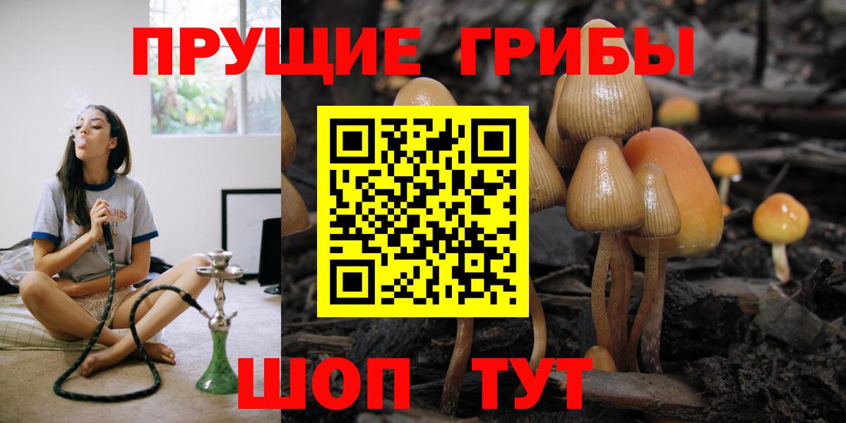 Вятские Поляны  Галлюциногенные грибы Psilocybe  Вход с VPN 